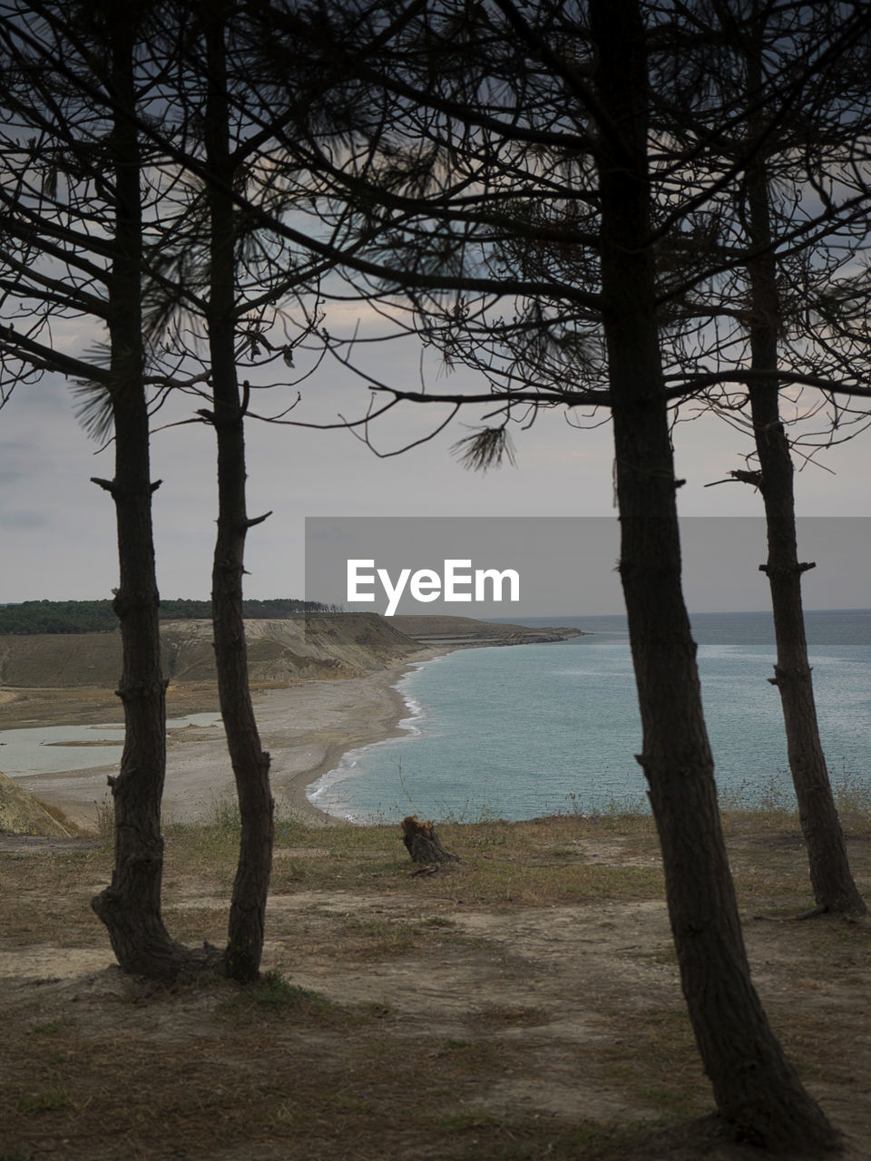 SCENIC VIEW OF LAKE AGAINST TREES