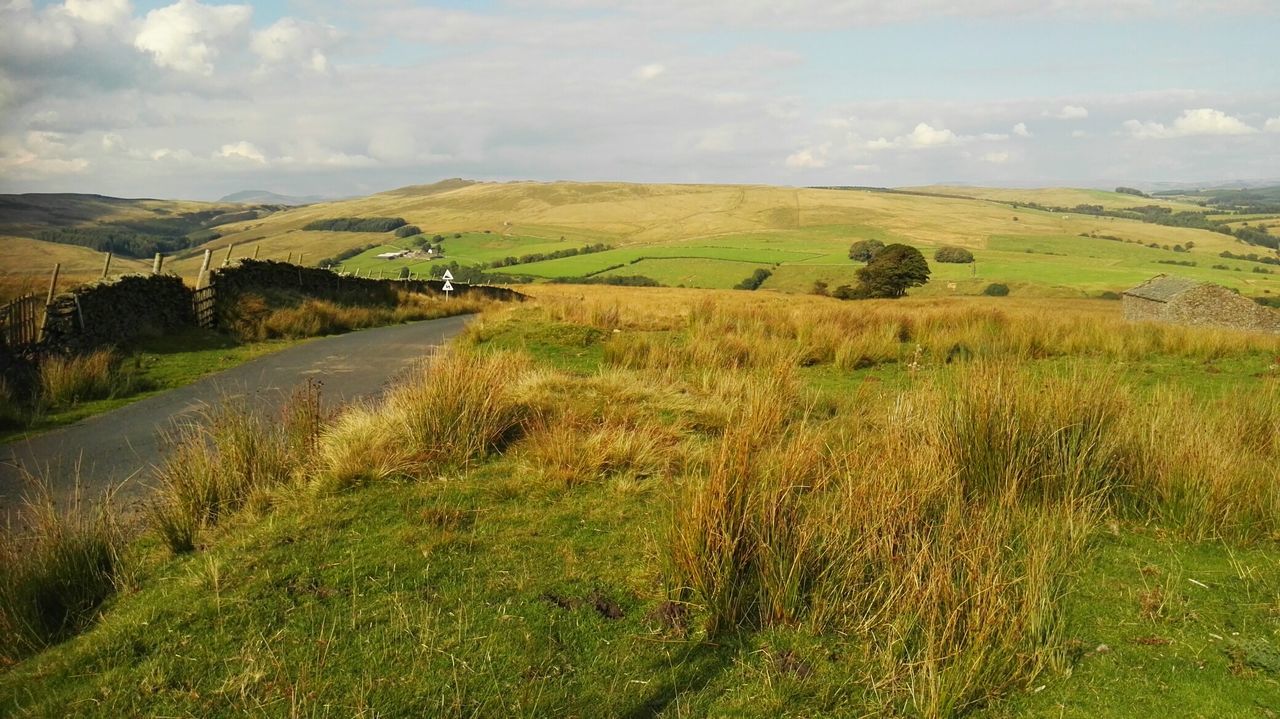 SCENIC VIEW OF RURAL LANDSCAPE AGAINST SKY