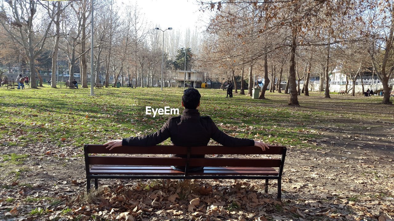 Rear view of girl sitting on bench in park