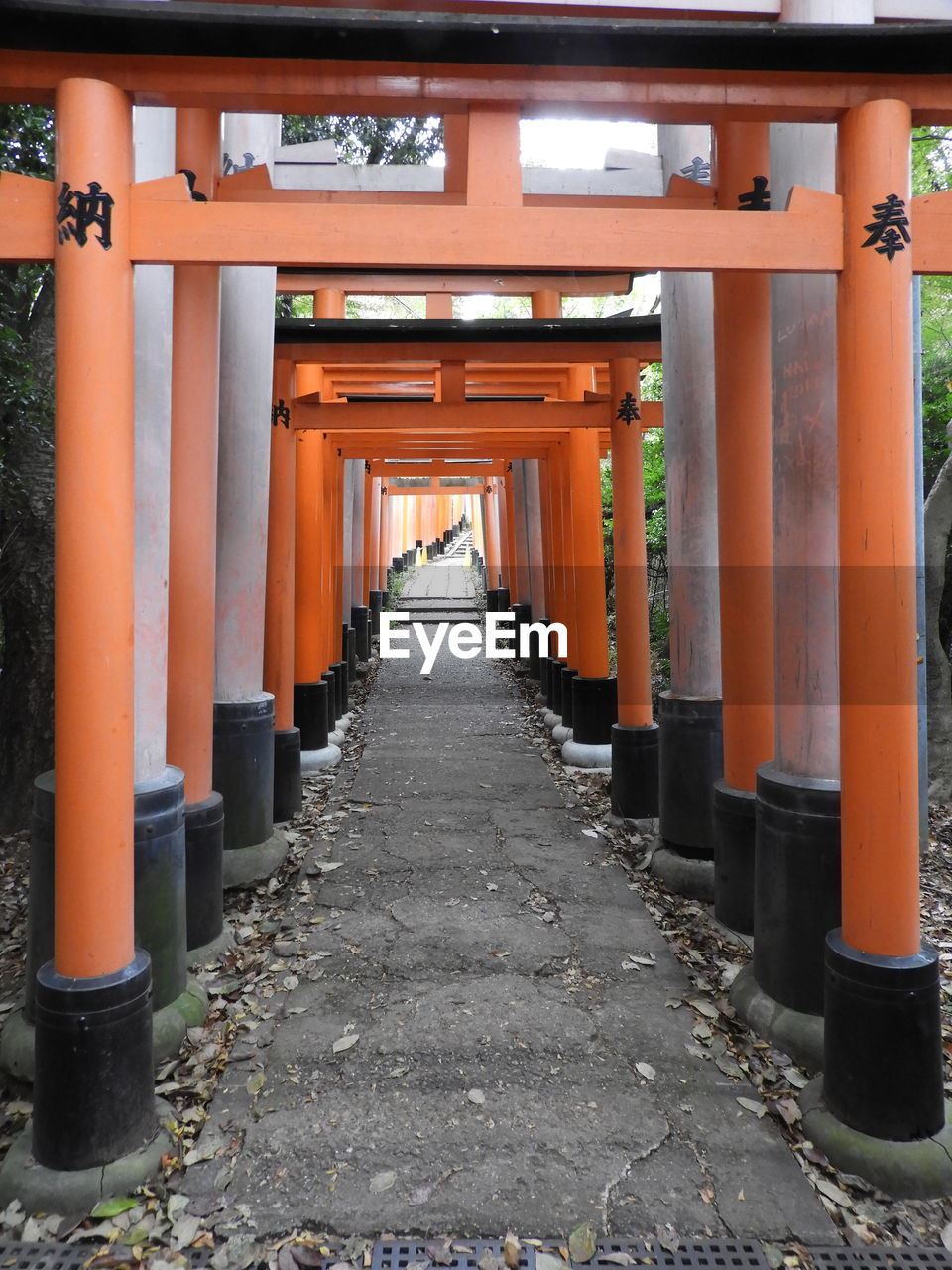 Thousands of torii in kyoto