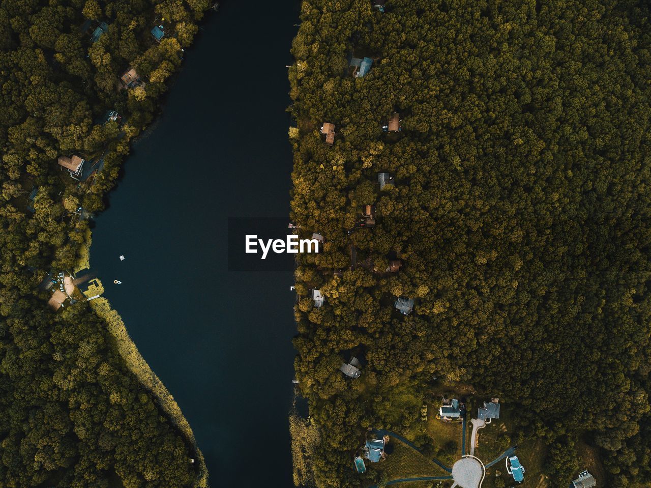 Aerial view of river amidst trees at forest