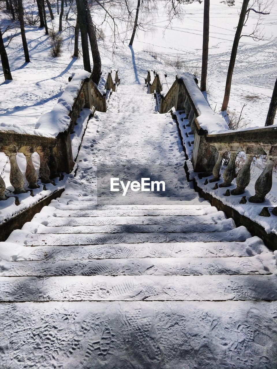 STEPS ON SNOW COVERED TREES