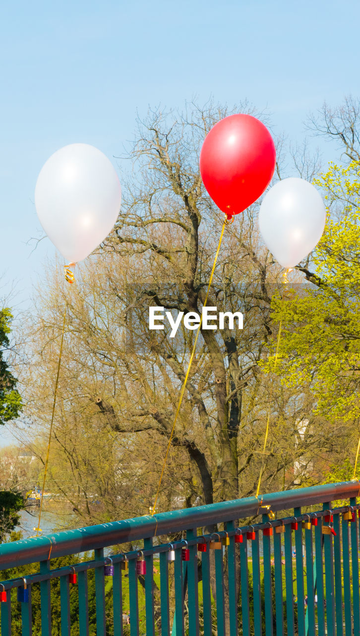 LOW ANGLE VIEW OF BALLOONS AGAINST TREES