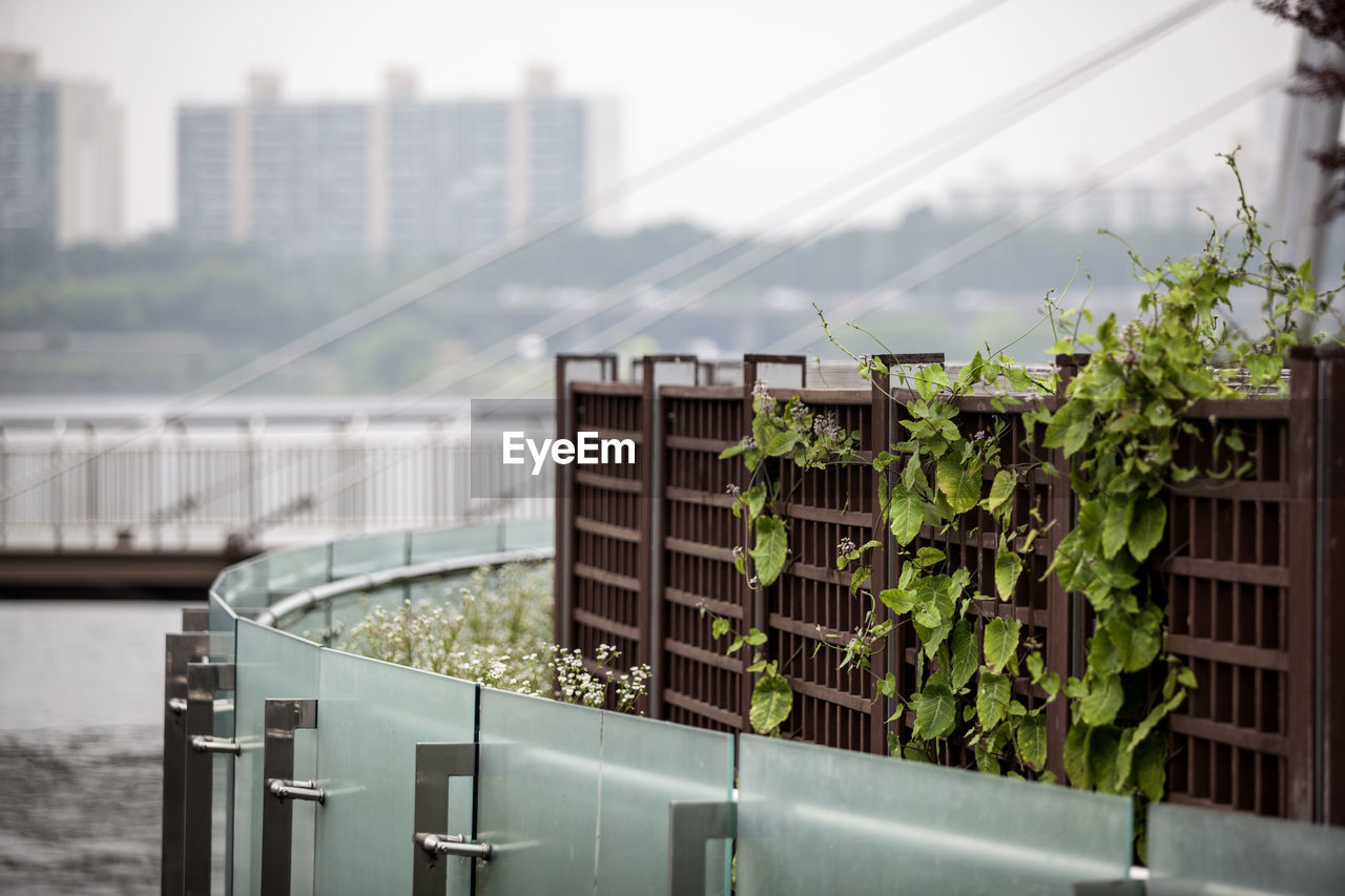 Fence by han river