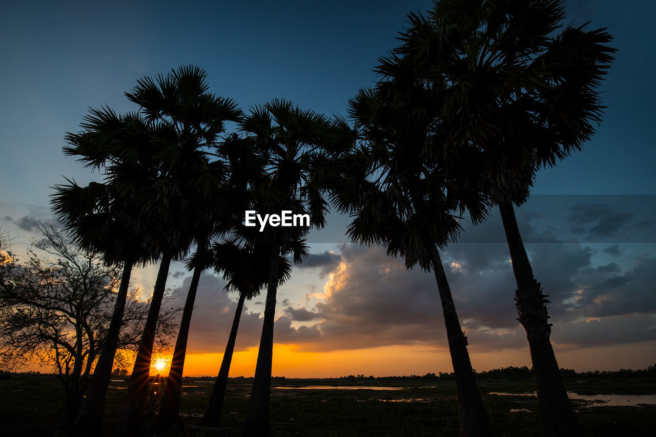 LOW ANGLE VIEW OF SILHOUETTE PALM TREES AGAINST SKY DURING SUNSET