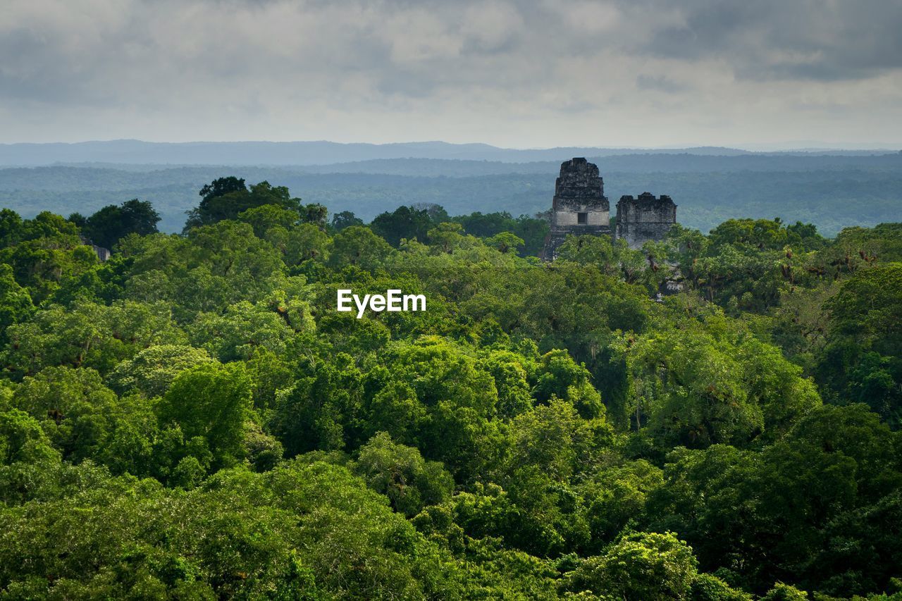 Tikal amidst trees at forest against sky