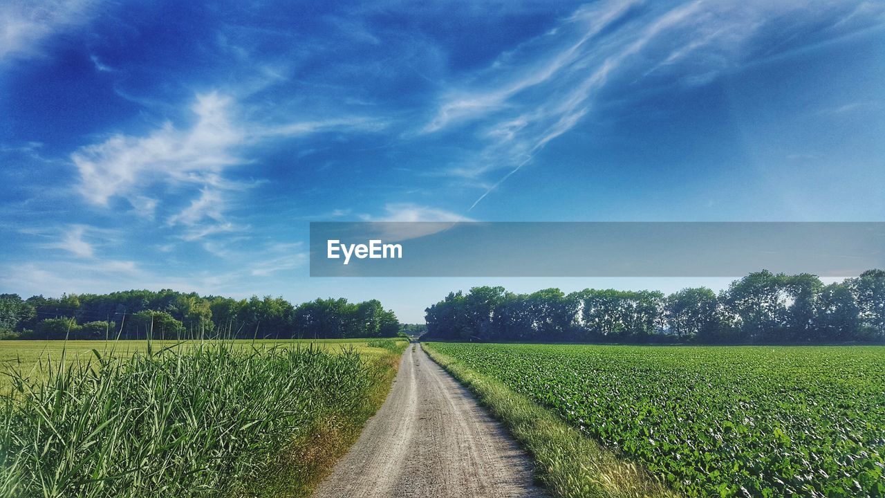 SCENIC VIEW OF FARM AGAINST SKY