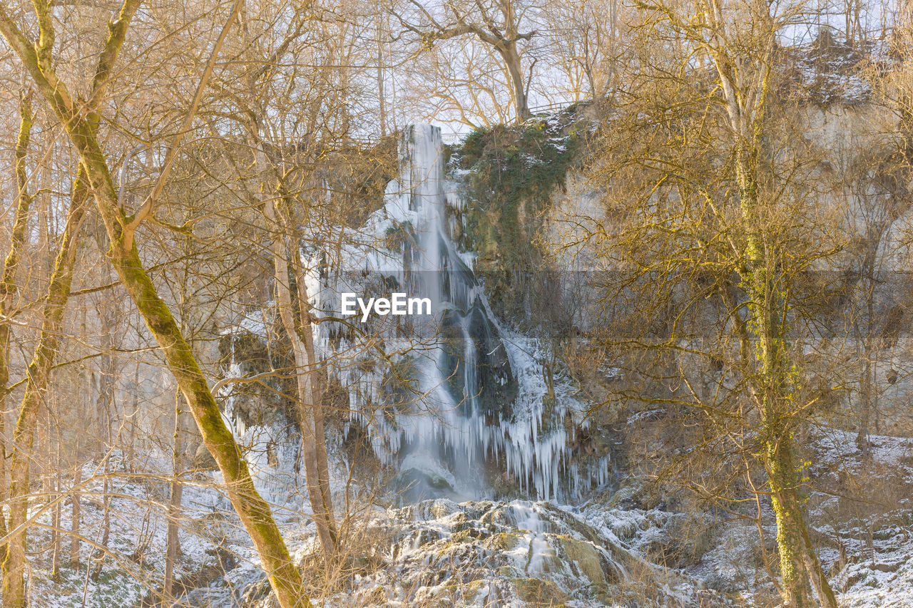 SCENIC VIEW OF RIVER FLOWING IN FOREST