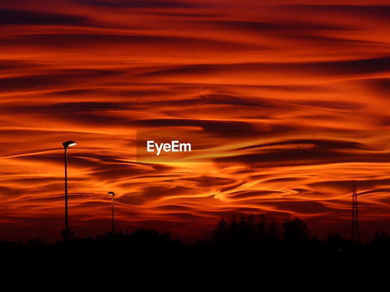 Low angle view of silhouette trees against orange sky