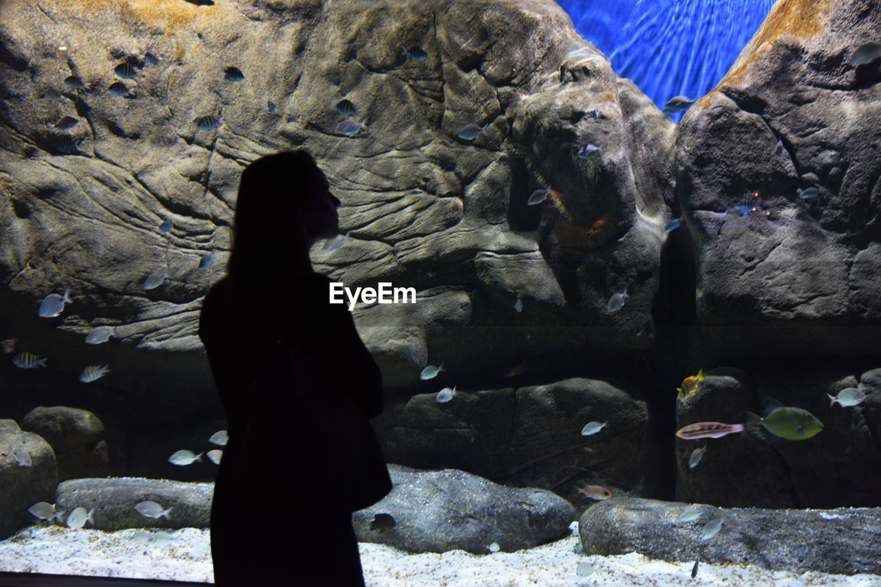 SILHOUETTE OF MAN IN AQUARIUM AT SEA