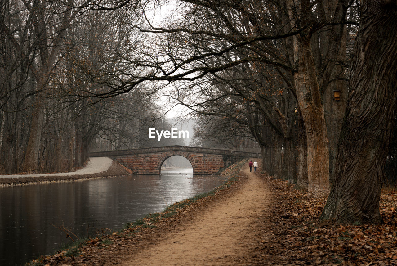 Bridge over river in forest during winter