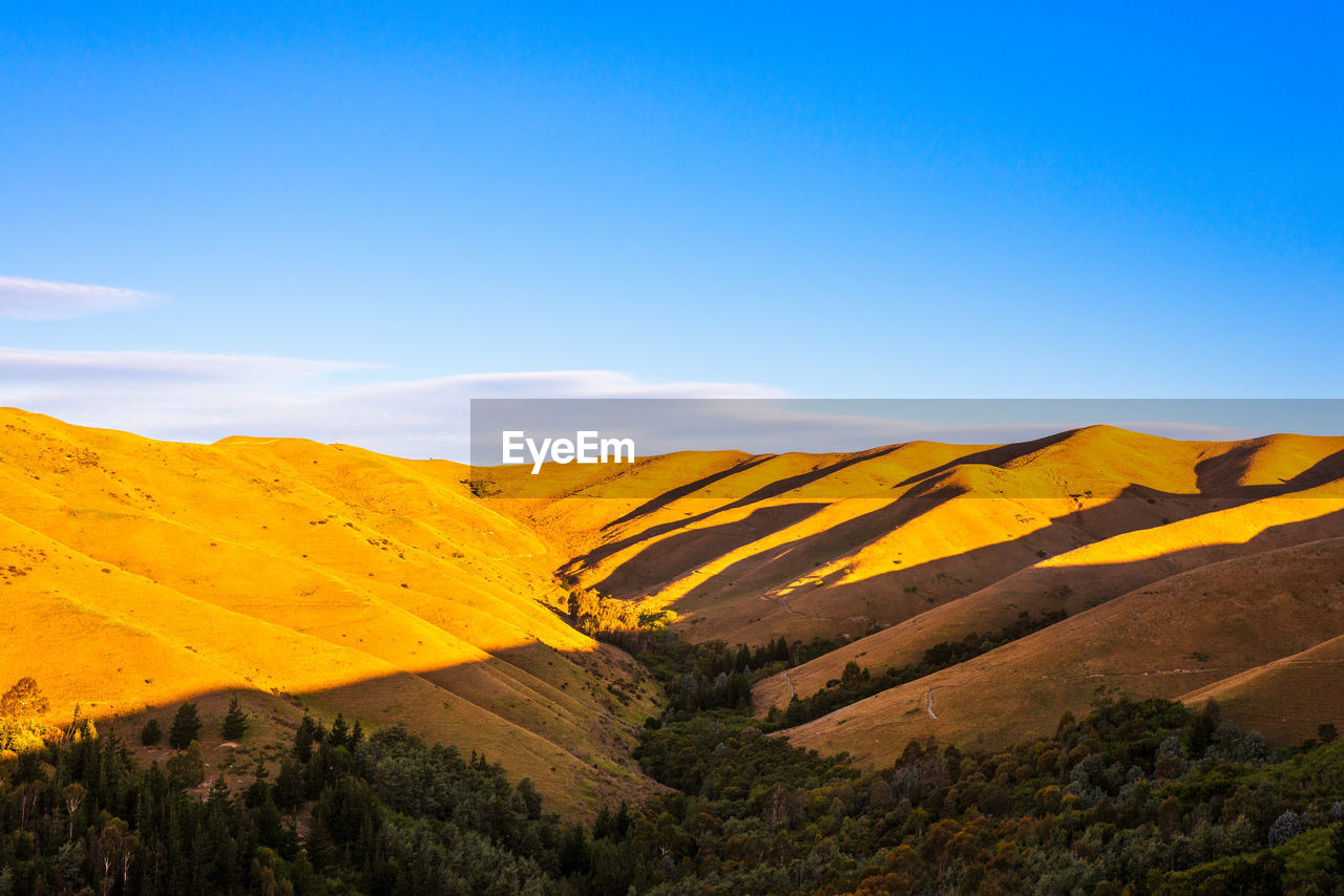 Scenic view of landscape against blue sky