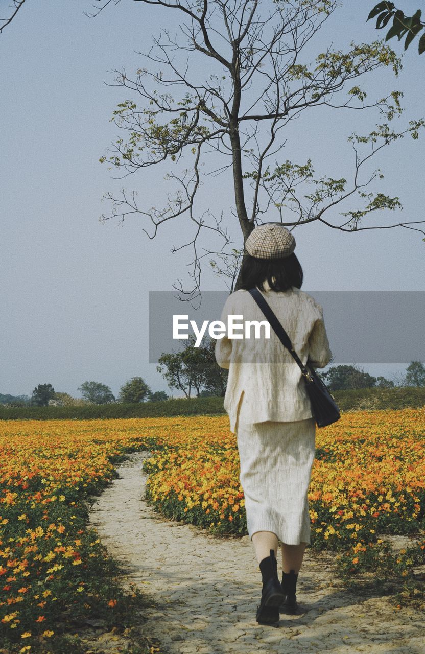 Rear view of person standing on field against sky