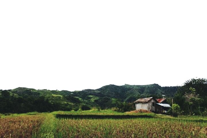 SCENIC VIEW OF RURAL LANDSCAPE