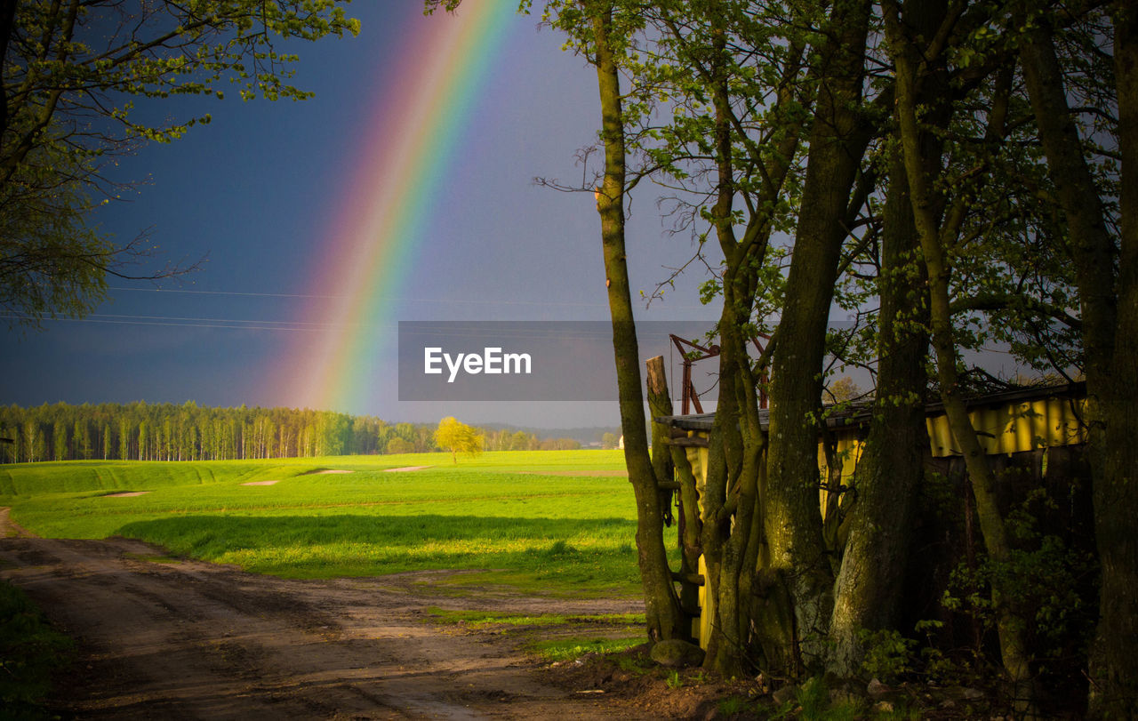 Scenic view of rainbow over landscape against sky