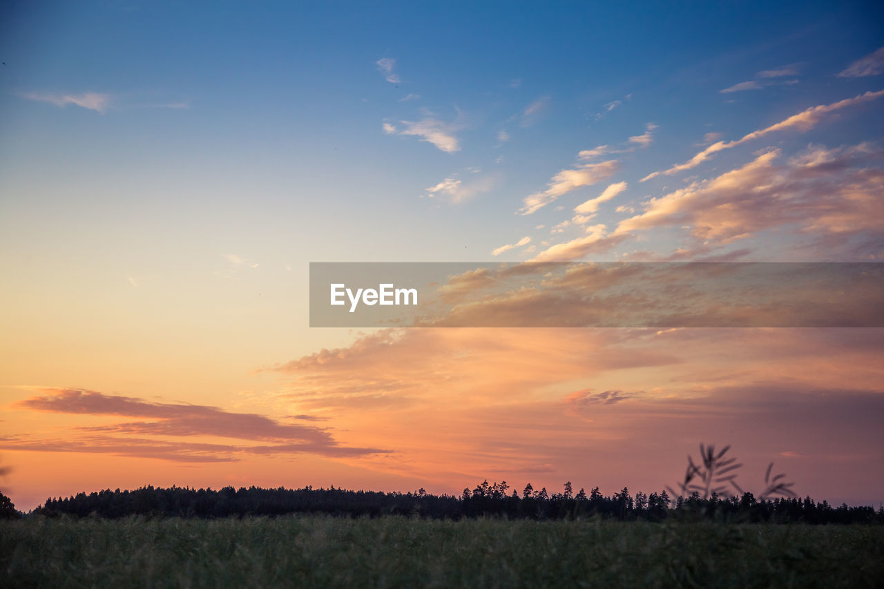 Scenic view of field against sky during sunset