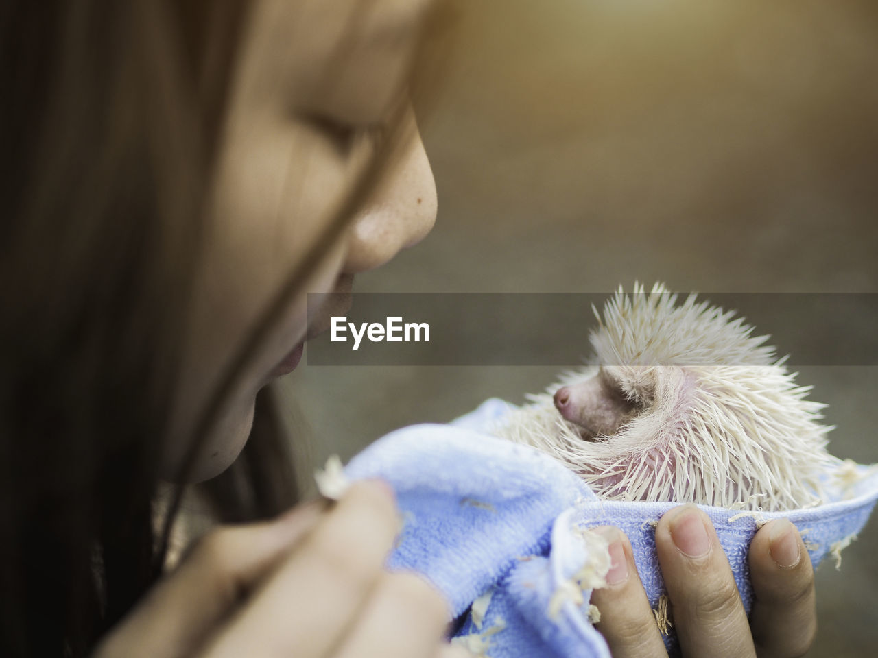 Close-up of young woman holding hedgehog