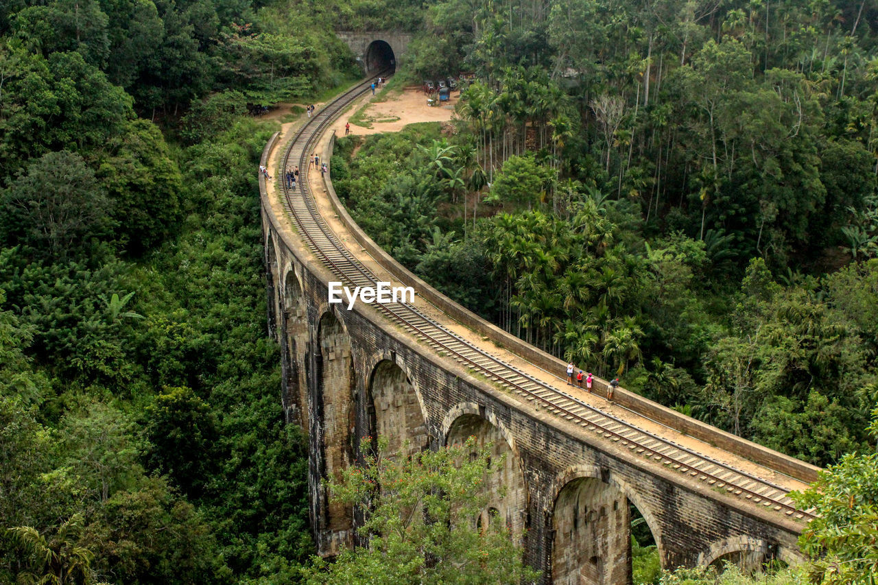 High angle view of railway bridge in forest