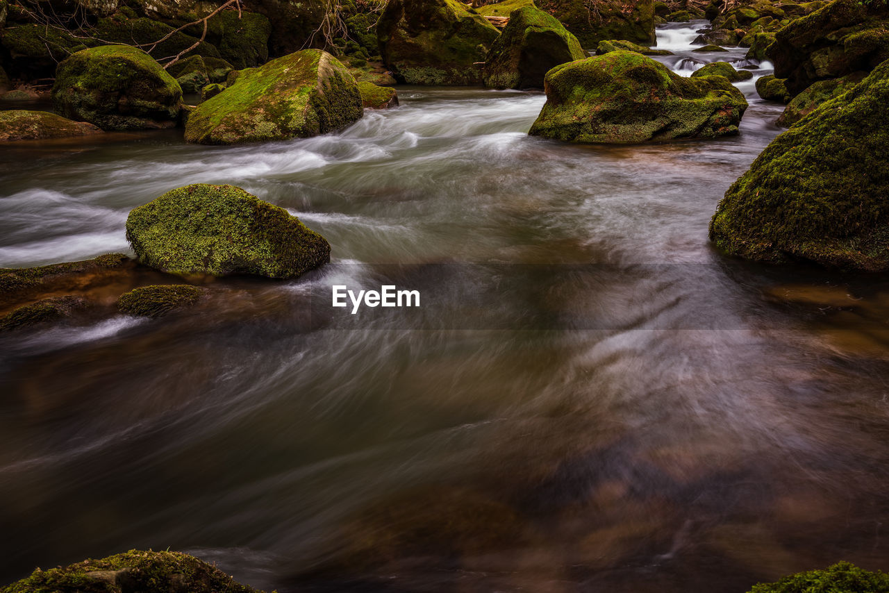 nature, river, water, stream, beauty in nature, body of water, scenics - nature, autumn, rock, rapid, plant, leaf, land, tree, landscape, creek, motion, environment, forest, watercourse, flowing water, wilderness, no people, water feature, waterfall, long exposure, flowing, outdoors, moss, reflection, tranquility, non-urban scene, blurred motion, day, travel destinations, tranquil scene, green, idyllic, wet, sports