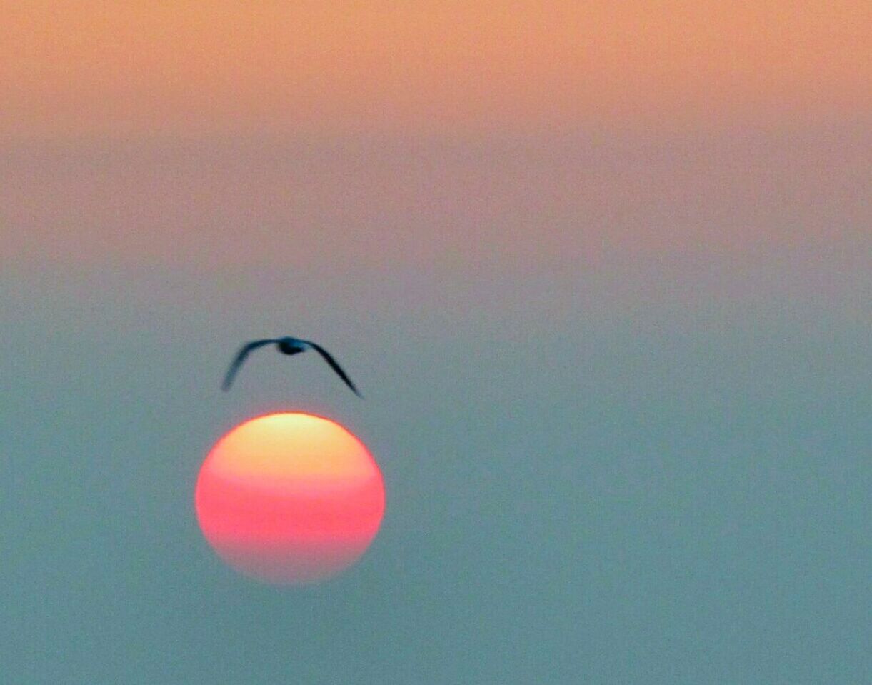 LOW ANGLE VIEW OF SUNSET