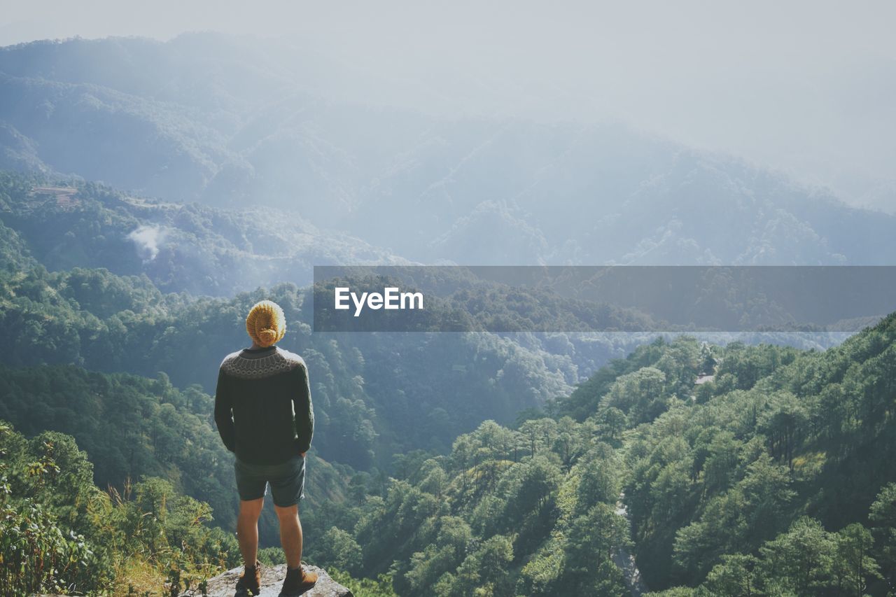 Rear view of man standing on mountain in forest