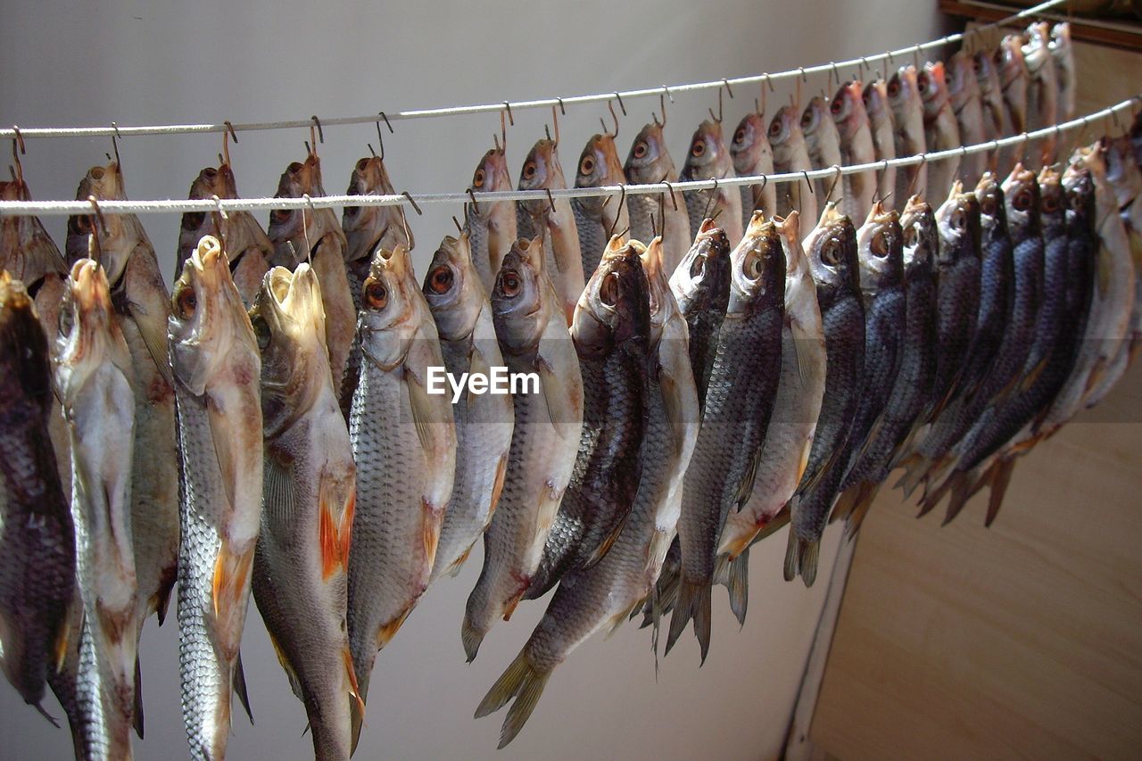 Panoramic view of fish for sale