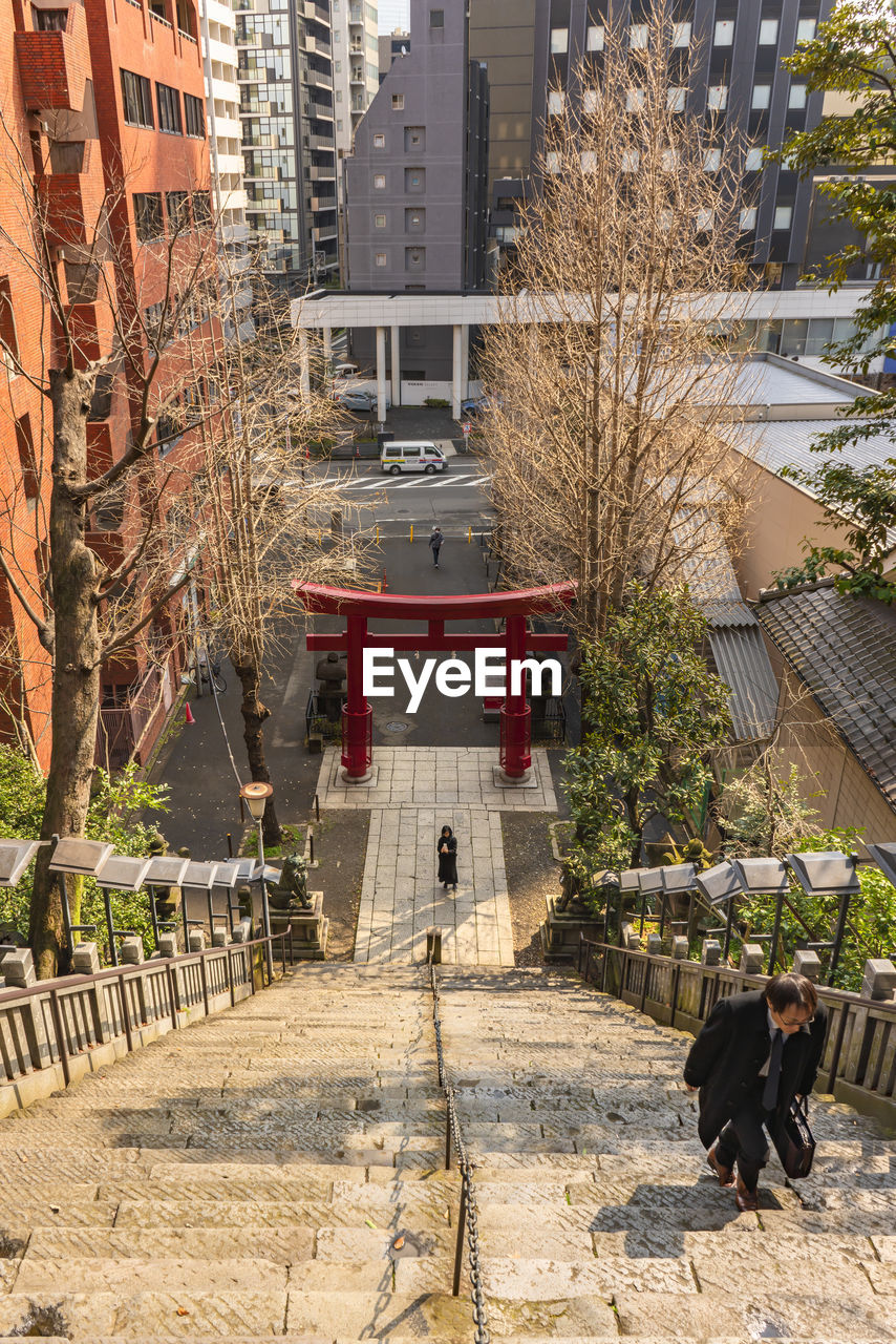 PEOPLE BY TREE AGAINST BUILDINGS IN CITY