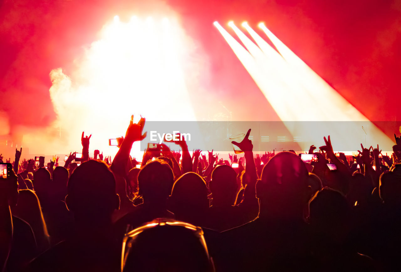 Cheering young people at a rock concert