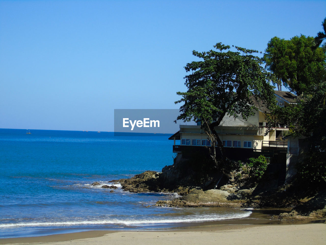 TREES ON BEACH AGAINST CLEAR SKY