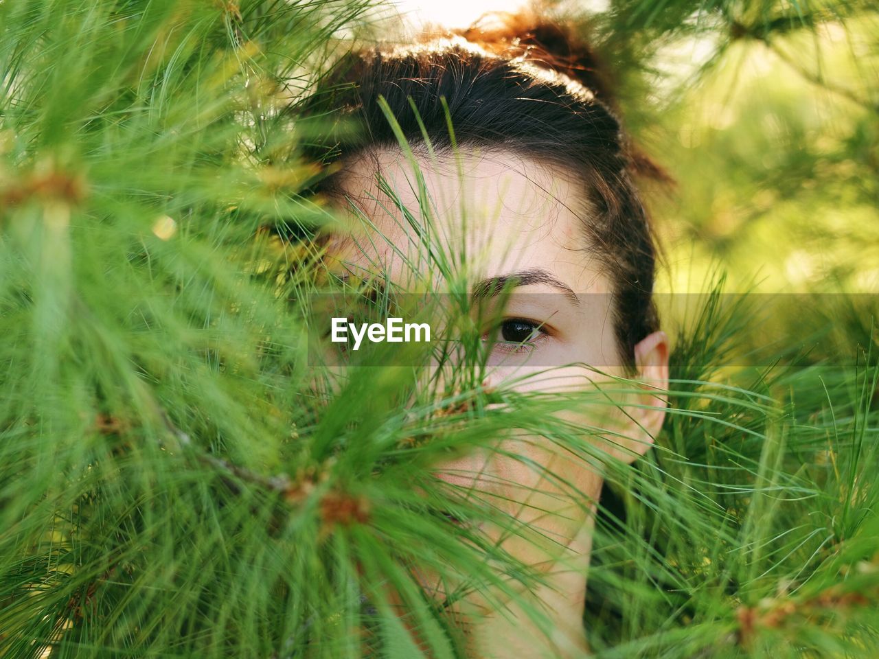 Close-up portrait of woman hiding in tree branches