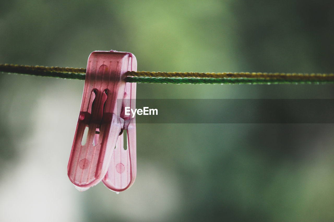 Close-up of clothespin on clothesline