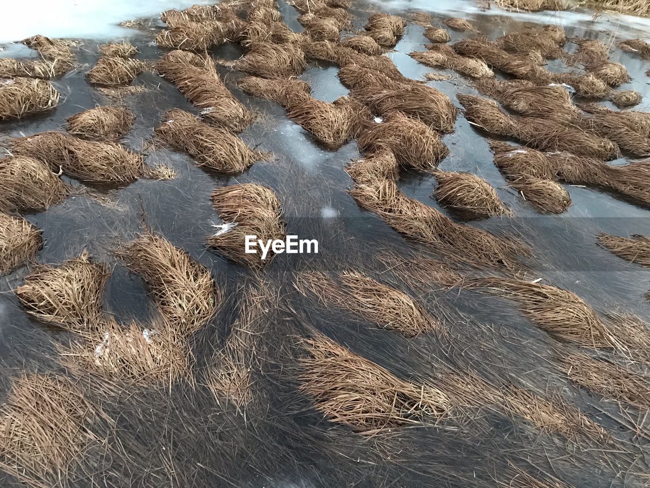 HIGH ANGLE VIEW OF ICE ON BEACH