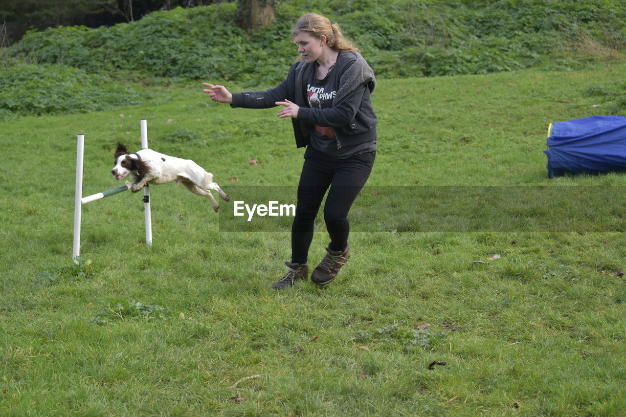 REAR VIEW OF DOG ON FIELD