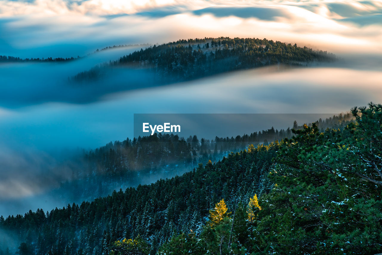 Scenic view of forest against cloudy sky