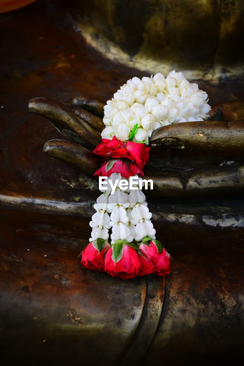 CLOSE-UP OF FLOWERS AGAINST BLURRED BACKGROUND