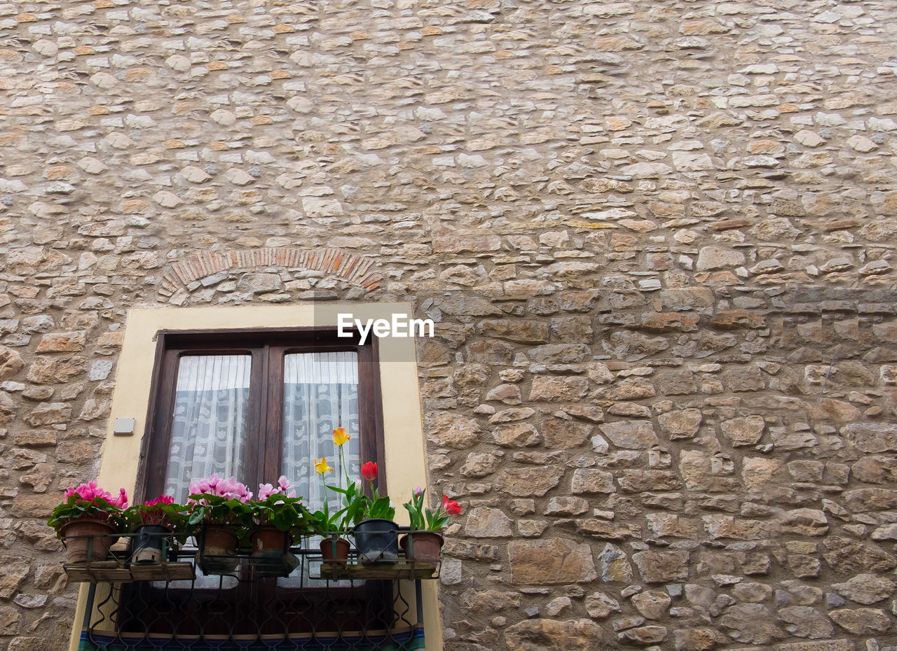 POTTED PLANT ON STONE WALL