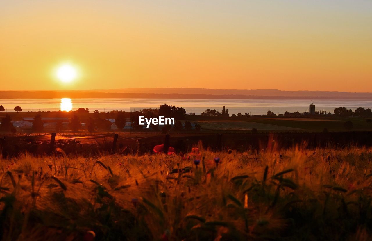 SCENIC VIEW OF FIELD AGAINST SKY DURING SUNSET