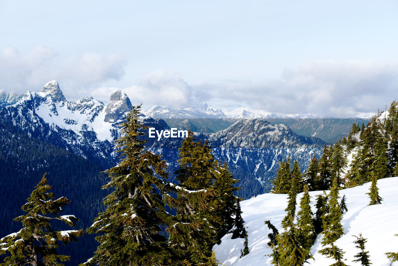 snow, mountain, winter, cold temperature, scenics - nature, beauty in nature, tree, environment, sky, mountain range, plant, landscape, nature, snowcapped mountain, forest, pine tree, coniferous tree, pinaceae, cloud, land, ridge, pine woodland, travel destinations, wilderness, travel, tranquility, tranquil scene, no people, non-urban scene, mountain peak, outdoors, day, tourism, vacation, woodland, holiday, trip