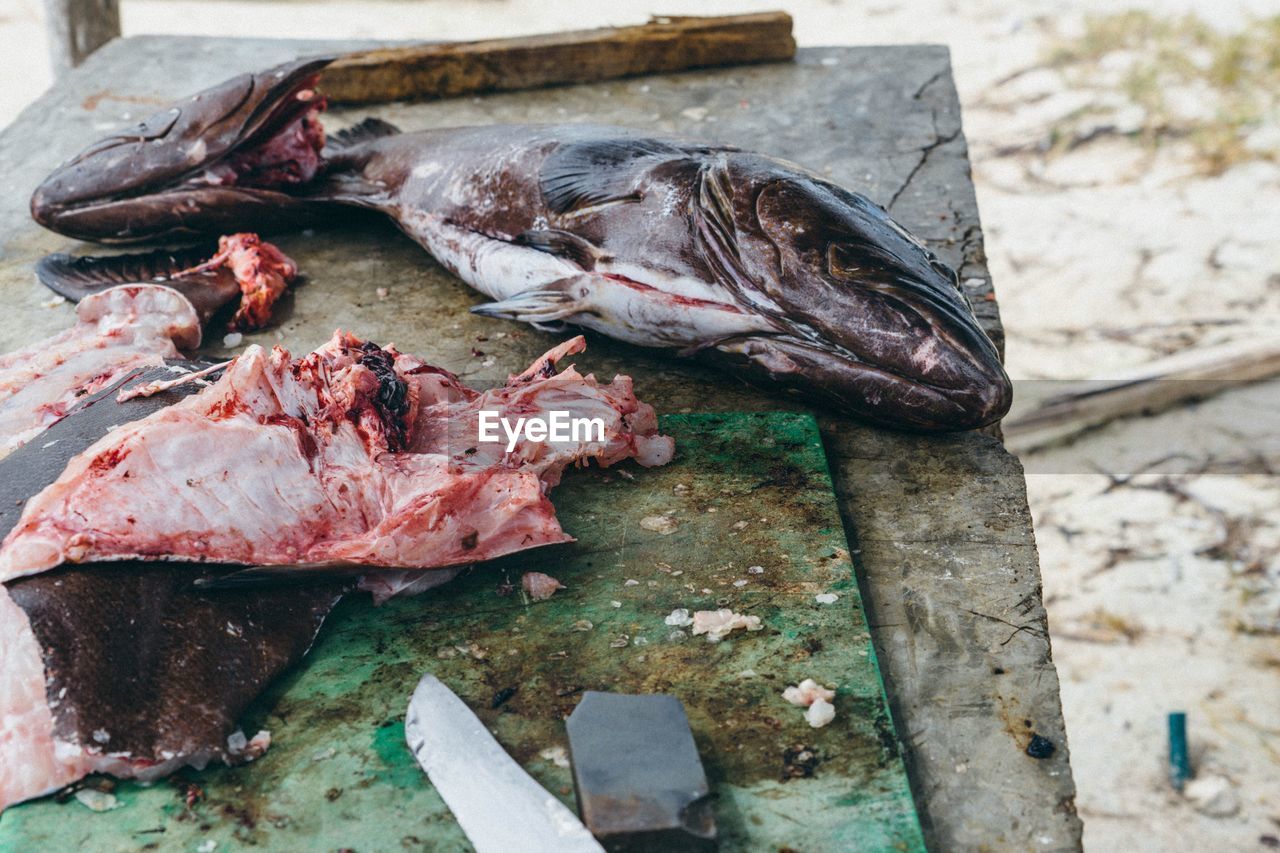 High angle view of fish on table