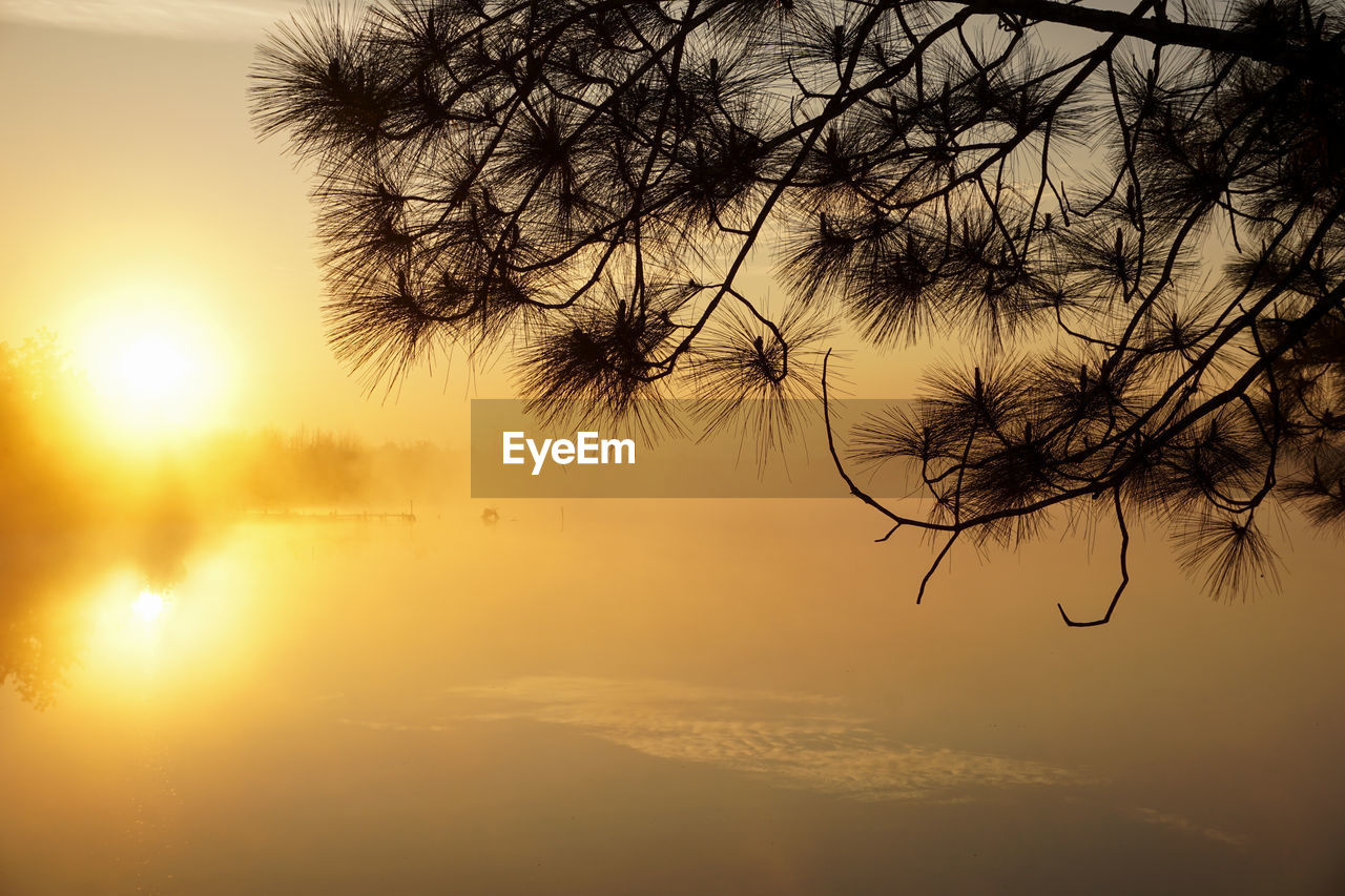 tree, sky, beauty in nature, sunset, tranquility, nature, water, scenics - nature, silhouette, plant, sunlight, sun, tranquil scene, branch, reflection, no people, dawn, environment, cloud, idyllic, outdoors, landscape, lake, evening, non-urban scene, fog, land, back lit, dramatic sky, travel destinations