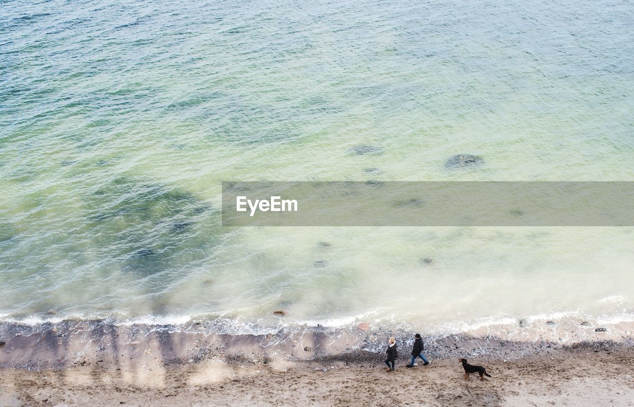 High angle view of people walking with dog on shore at beach