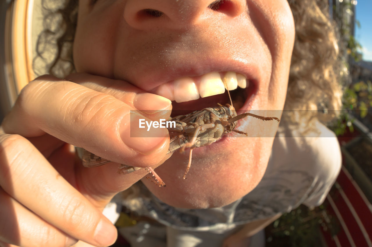 Close-up of woman eating insect