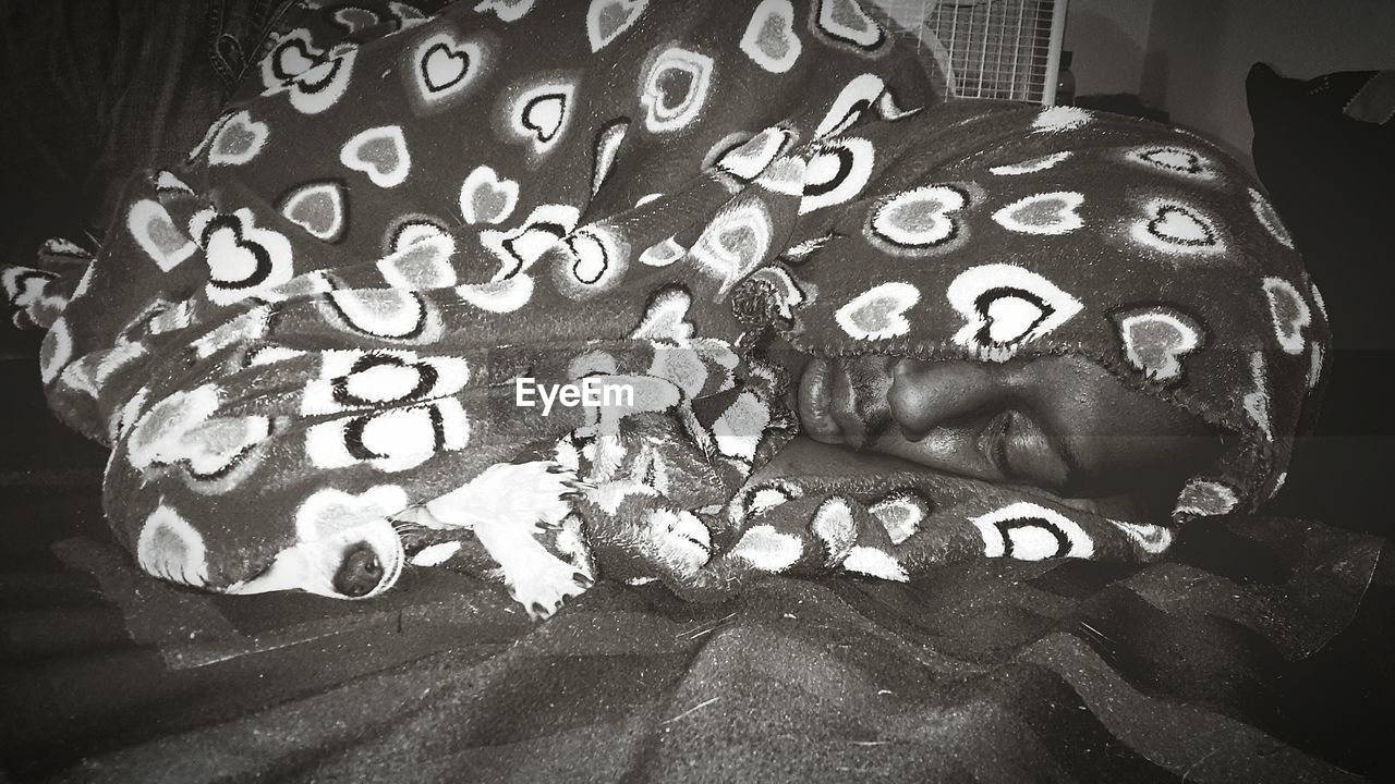 Young man sleeping by puppy covered with blanket on bed at home