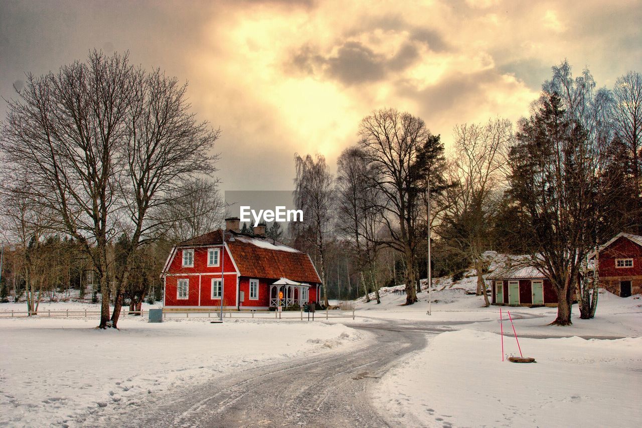 Bare trees on snow covered landscape against sky