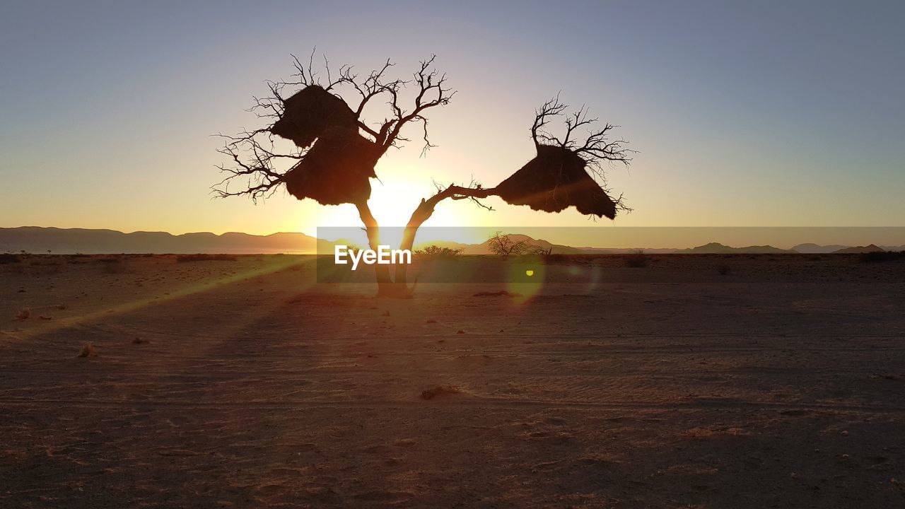 SILHOUETTE PEOPLE ON LAND AGAINST SKY AT SUNSET