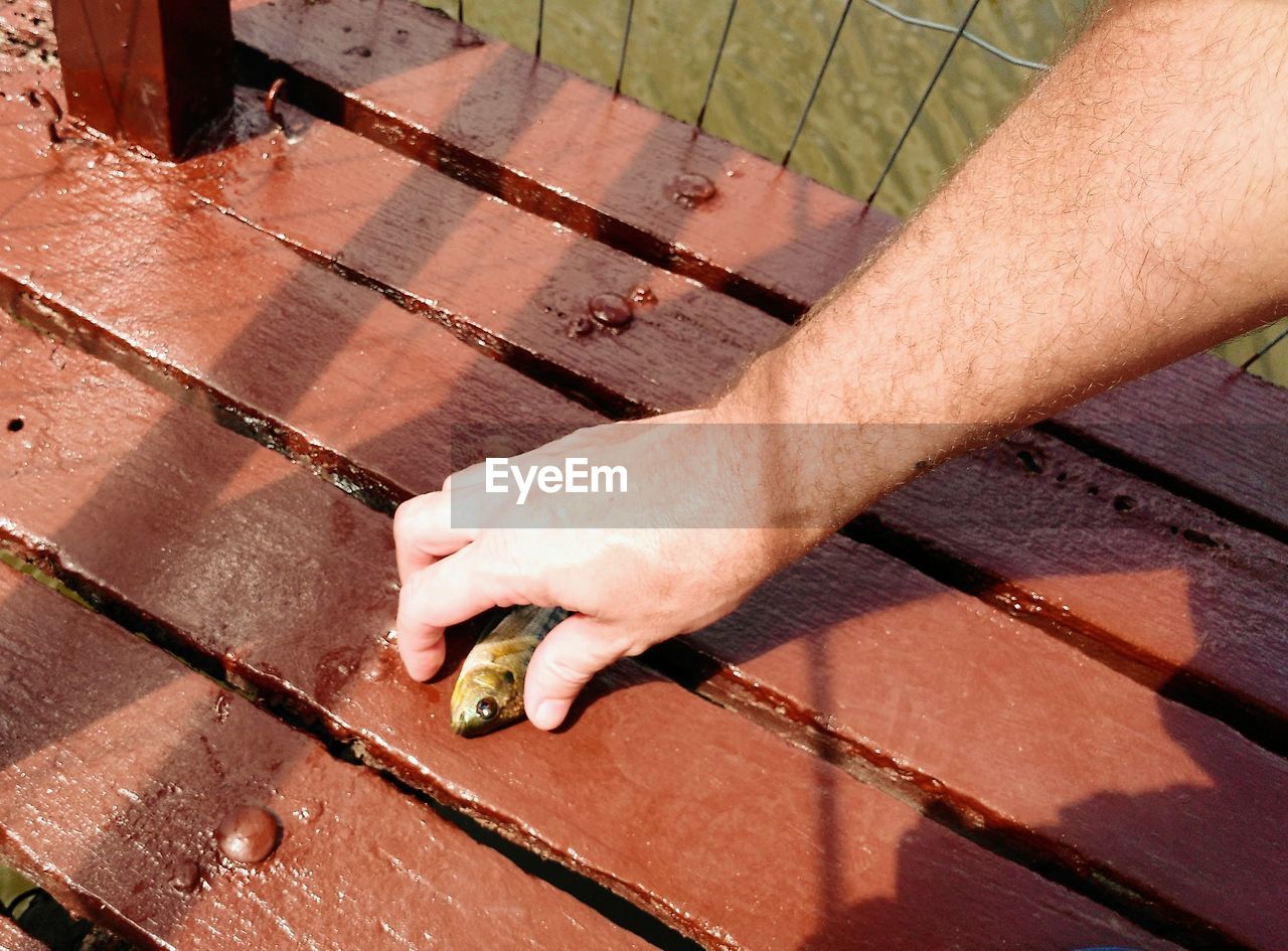 HIGH ANGLE VIEW OF HAND HOLDING LEAF OVER WOODEN SURFACE