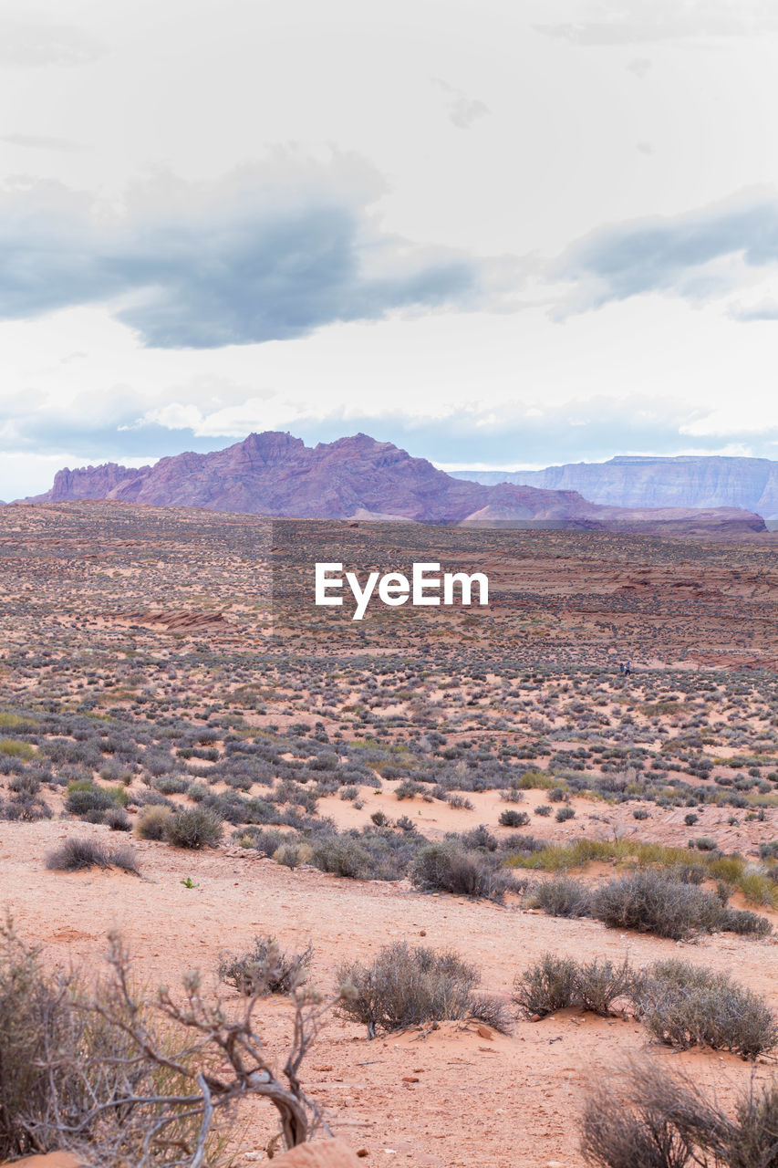 SCENIC VIEW OF LAND AGAINST SKY