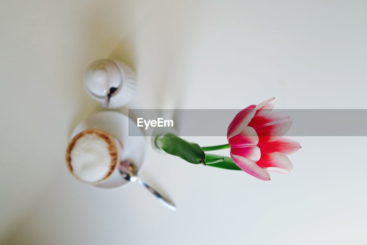 High angle view of coffee cup with tulip on table
