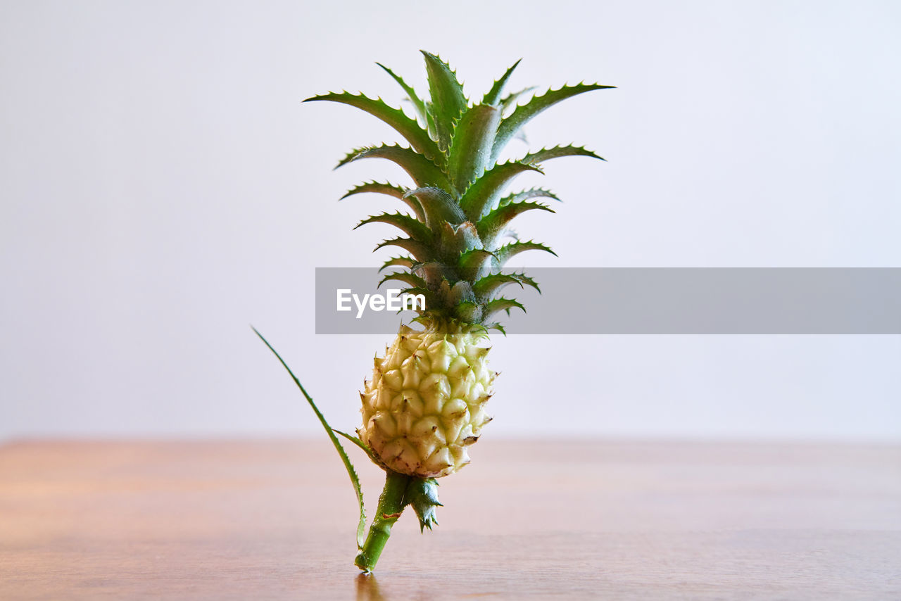 Close-up of pineapple on table against wall