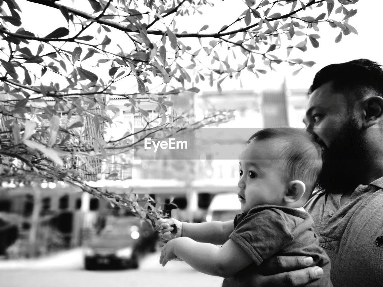 Side view of baby girl playing with plants while being carried by father at park